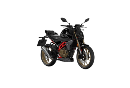 Morbidelli N300